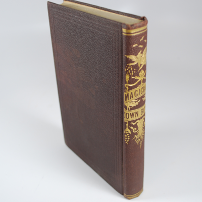 Magician's Own Book: Fitzgerald publishing 19th Century - Image 4