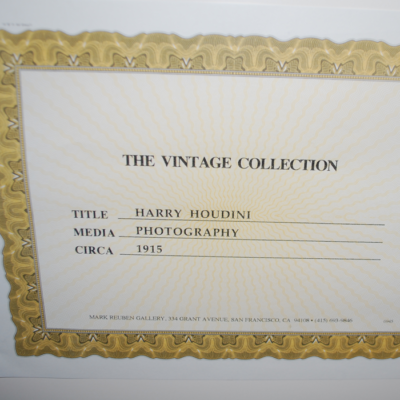 Harry Houdini Straight Jacket Escape circa 1915 - Image 3