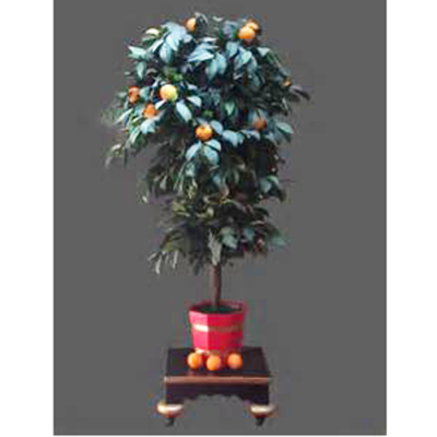 The Incredible Robert Houdin Blooming Orange Tree by Paul Lembo: only 6 were made all pre-sold to top collectors