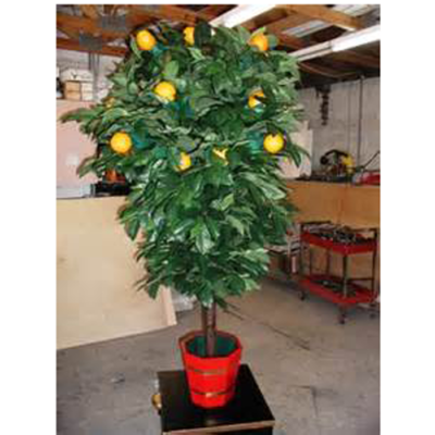 The Incredible Robert Houdin Blooming Orange Tree by Paul Lembo: only 6 were made all pre-sold to top collectors - Image 2