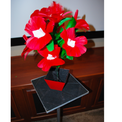 Marshall's Fastest: instant flower vanish - Image 2