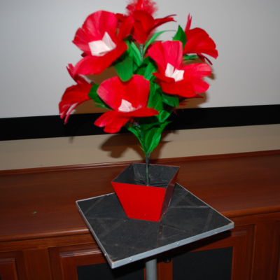 Marshall's Fastest: instant flower vanish - Image 3
