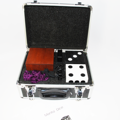 Mental Dice by Labco Magic: the finest electronic mental magic available - Image 2
