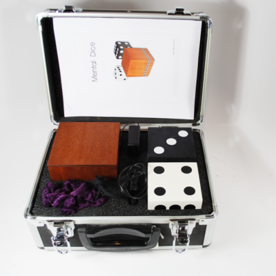 Mental Dice by Labco Magic: the finest electronic mental magic available - Image 3