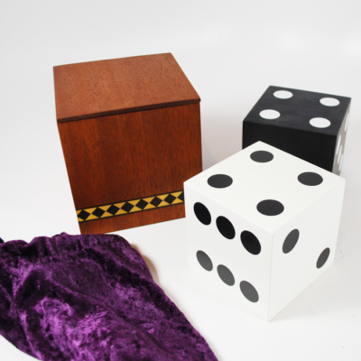 Mental Dice by Labco Magic: the finest electronic mental magic available