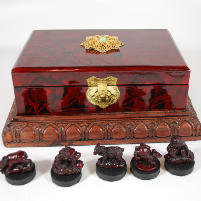 Leonardo's Prediction Box