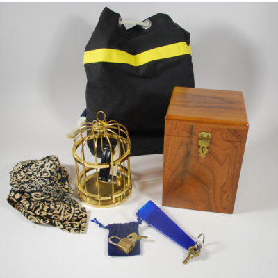 In A Gilded Cage by Collectors Workshop