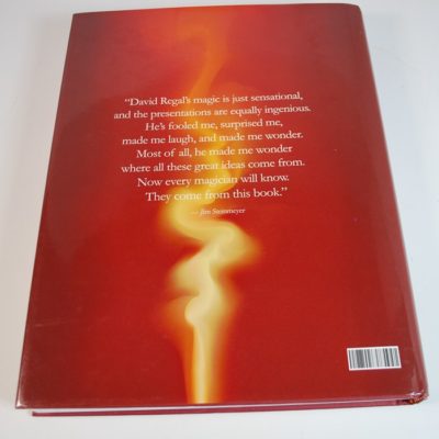 David Regal Approaching Magic: 2008 massive work - Image 2