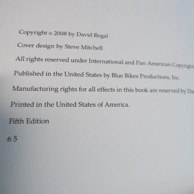 David Regal Approaching Magic: 2008 massive work - Image 3