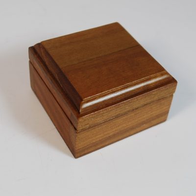 The Mysterious Wooden Coin Box by the Trickery and Michael Baker: