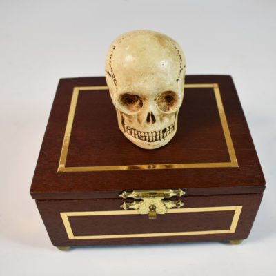 Talking Miniature Skull