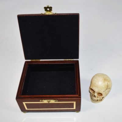Talking Miniature Skull - Image 2