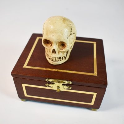 Talking Miniature Skull - Image 3