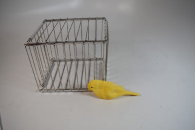 Owen Challenge Vanishing Cage with custom pull set up - Image 7
