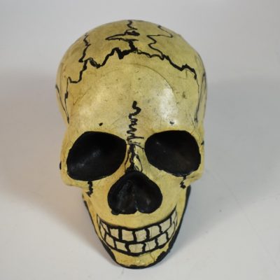 Paper Mache Skull circa 1920 - Image 2