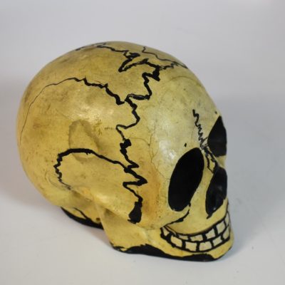 Paper Mache Skull circa 1920 - Image 3