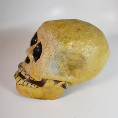 Vintage Full Sized Paper Mache Talking Skull Circa 1920 - Image 3