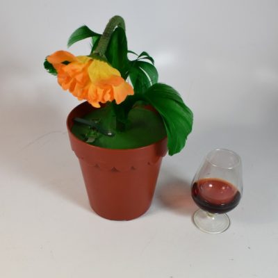 Warren Stephens Potted: vintage effect 1960's - Image 3