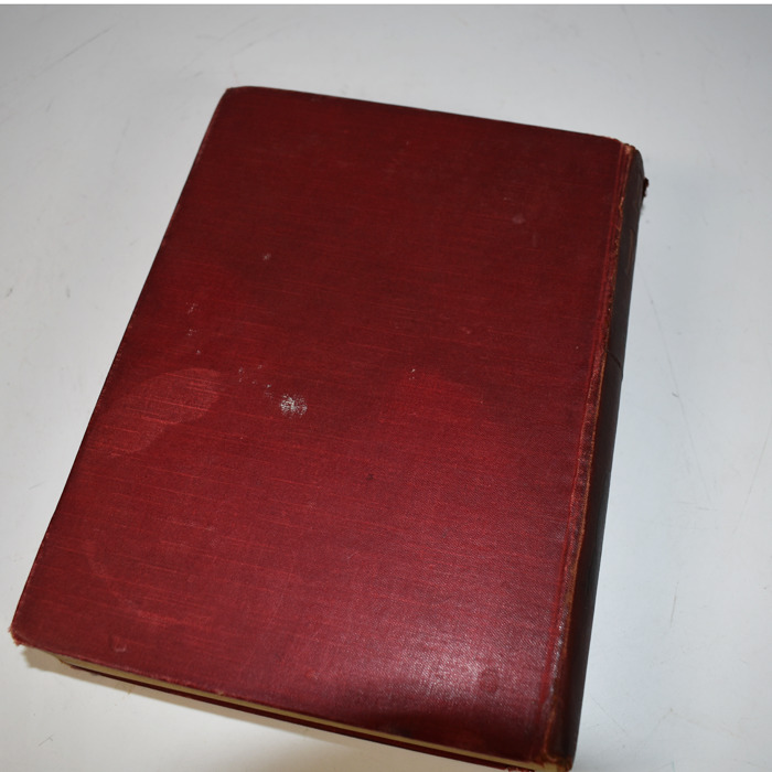 the book of magic hoffman the book of magic hoffman