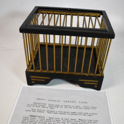 Vintage Beauty Canary Cage - Image 2