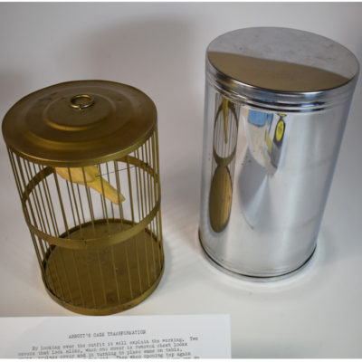 Cage Transformation - Image 2
