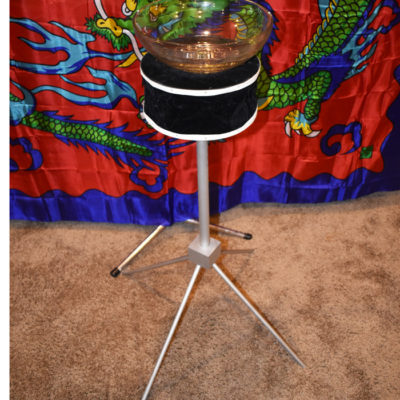 Bowl of Water Production - Image 2