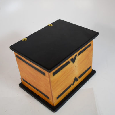 Vintage Card Rise chest - Image 3