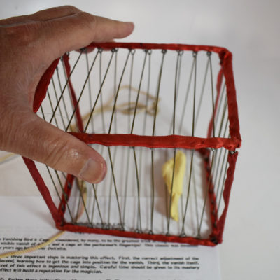 Vintage Vanishing Bird Cage (ala Blackstone) - Image 2
