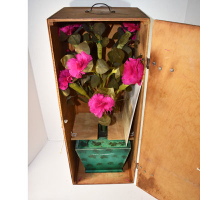 The Incredible Abbott Automatic Blooming Rosebush - Image 8