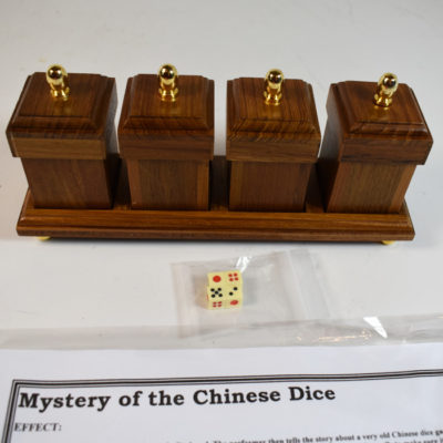 Magic Wagon’s The Mystery of the Chinese Die 2010