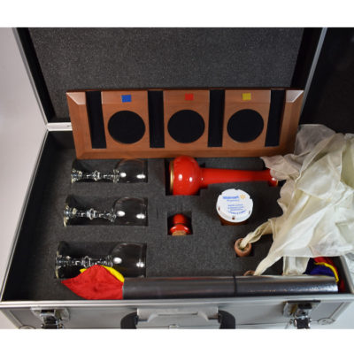 Professional Silk Blow set custom made with case: you should look at this - Image 2