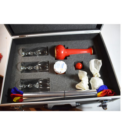 Professional Silk Blow set custom made with case: you should look at this - Image 7