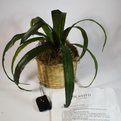 Nick Winger’s Planted: a plant finds the spectators card in a miraculous way!