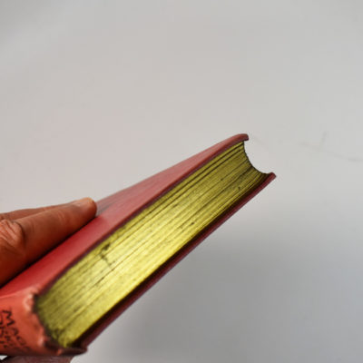 Magical Originalities by Ernest Noakes 1914: gilt edge - Image 7