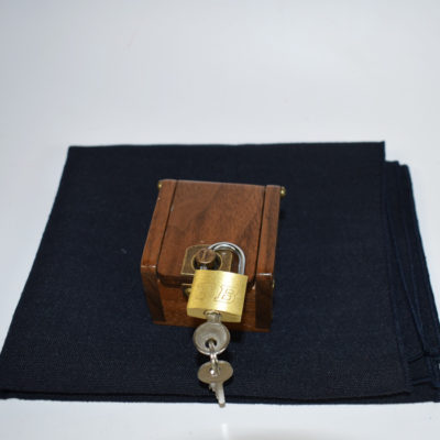 Dave Powell Antique Pill Box: amazing construction: it is not a Lippincott box! - Image 3