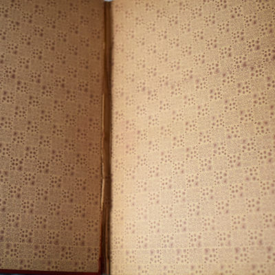 Leaves from Conjurer's Scrapbooks: 1891 H.J. Burlingame - Image 7