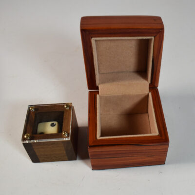 Badlands Box Deluxe from Magic Wagon and Tony Curtis - Image 2