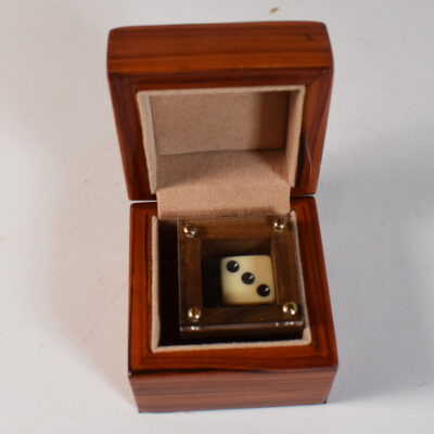 Badlands Box Deluxe from Magic Wagon and Tony Curtis - Image 3