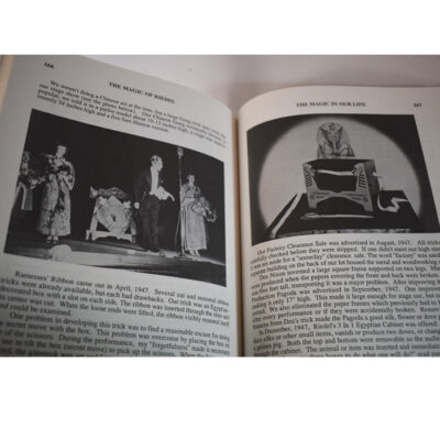 Magic of Ridel: 1988 first edition - Image 4