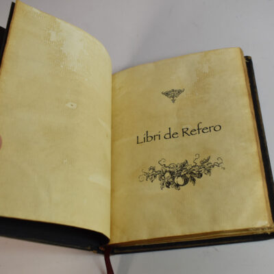 Outlaw Effects and Vic Nadata the Book Of Answers: Bizarre, Spiritualism, Seance etc.: as new - Image 3