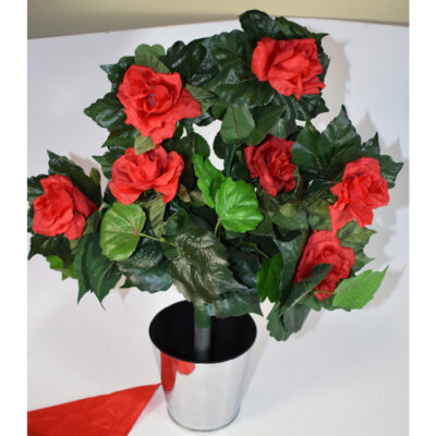 Bongo’s Blooming Bush: Ali Bongo - Image 4