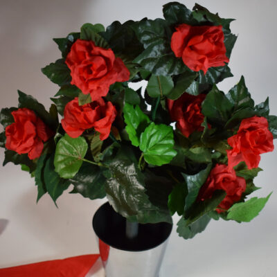 Bongo’s Blooming Bush: Ali Bongo - Image 5