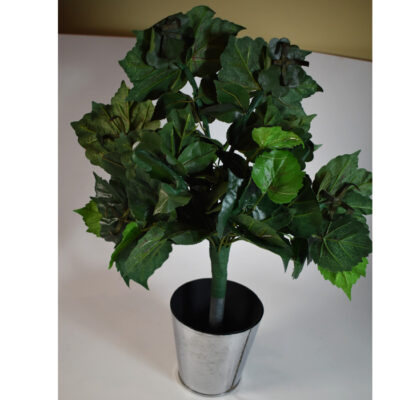 Bongo’s Blooming Bush: Ali Bongo - Image 3