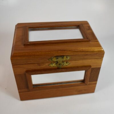 The Mini Cyclops Box by Martin Breese and Magic Wagon:2010 scarce