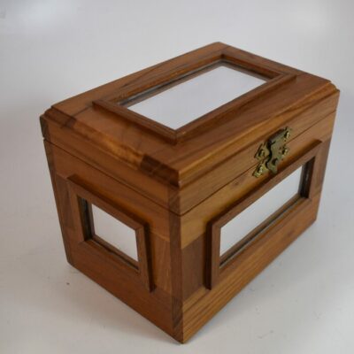 The Mini Cyclops Box by Martin Breese and Magic Wagon:2010 scarce - Image 3