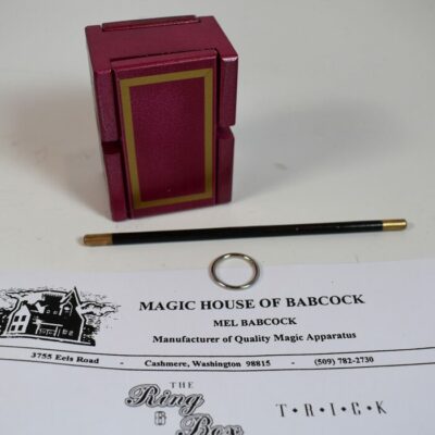 Mel Babcock Ring and Box: purple painted version - Image 3